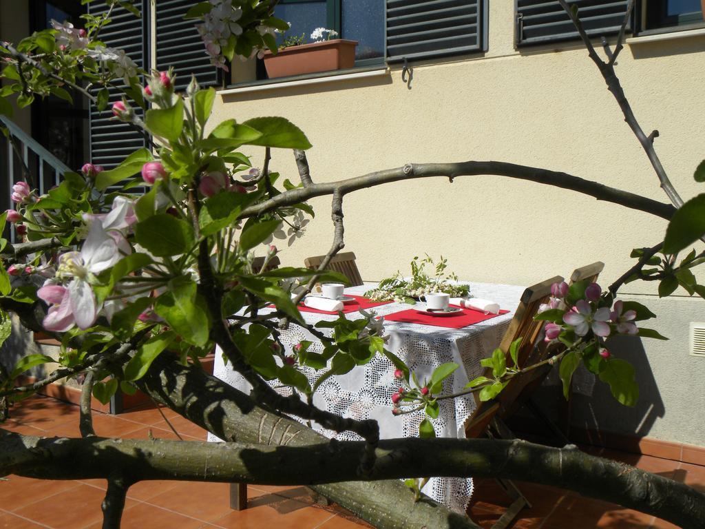 El Jardin De Los Gatos Apartament Caces Exteriör bild