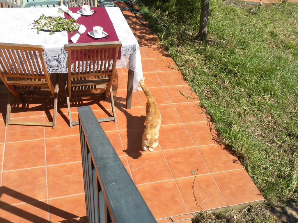 El Jardin De Los Gatos Apartament Caces Exteriör bild